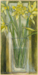 Daffodils                                        [330] 